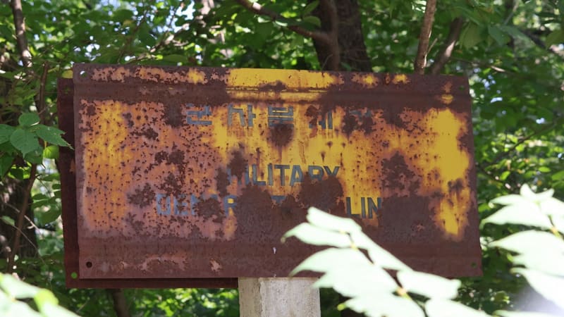 A rusted yellow Military Demarcation Line sign in Korean and English among trees in the Demilitarized Zone