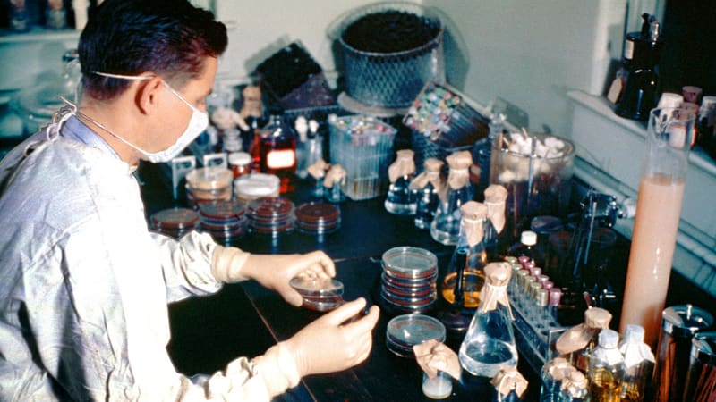 1961 photo: a masked, gloved laboratory technologist in a white gown inoculates a Petri dish at a bench crowded with flasks