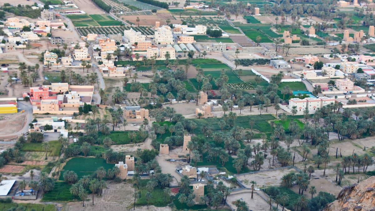 Palm groves, farms and mud tower houses of the Wadi Najran oasis seen from a rocky hilltop