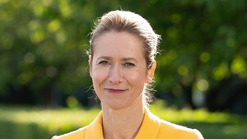 Kaja Kallas, smiling, in a yellow jacket with a blue and yellow felt flower brooch, standing outdoors against green foliage